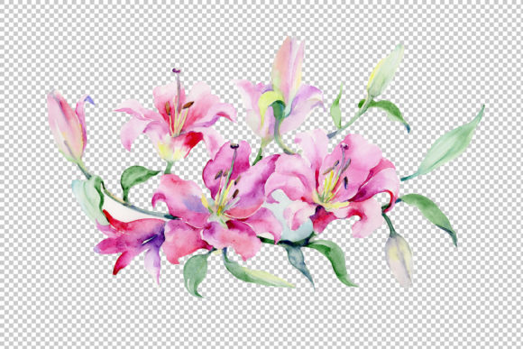 Bouquet of Pink Lilies PNG Watercolor Set for Crafts