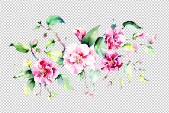 Bouquet Pink Roses PNG Watercolor Flowers Set for Crafts