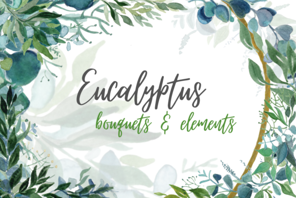 Eucalyptus Watercolor Clipart Bundle for Crafts