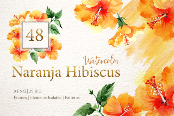 Naranja Hibiscus Watercolor: A Vibrant Design Asset