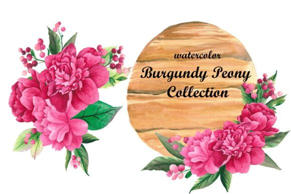 Watercolor Burgundy Peony Flower Clipart & Crafts